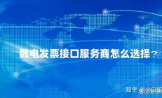 数电发票接口服务商怎么选择？