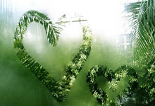 建议收藏：如何开一人公司？