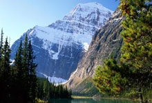 建议收藏：如何开一人公司？