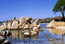 建议收藏：如何开一人公司？